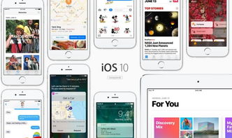 软件系统资讯与专业软件咨询服务 驱动企业数字化转型的双引擎