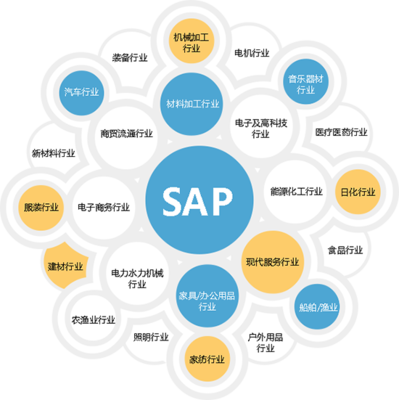 杭州SAP ERP软件 企业数字化转型的智慧选择与专业咨询指南